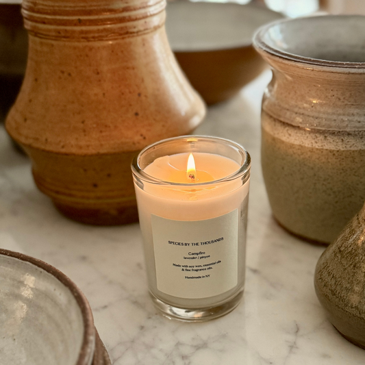 Campfire, Pinyon + Lavender Handcrafted Scented Soy Candle