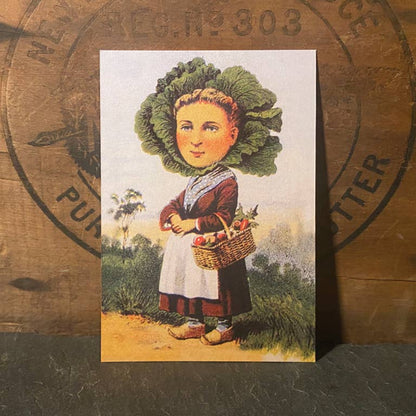 Cabbage Head