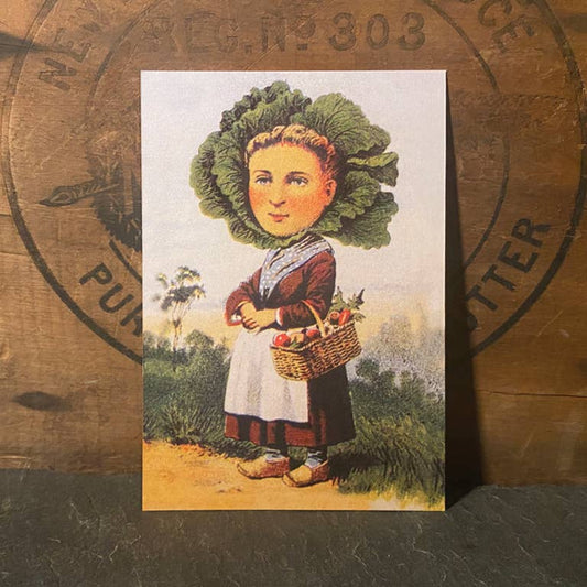 Cabbage Head