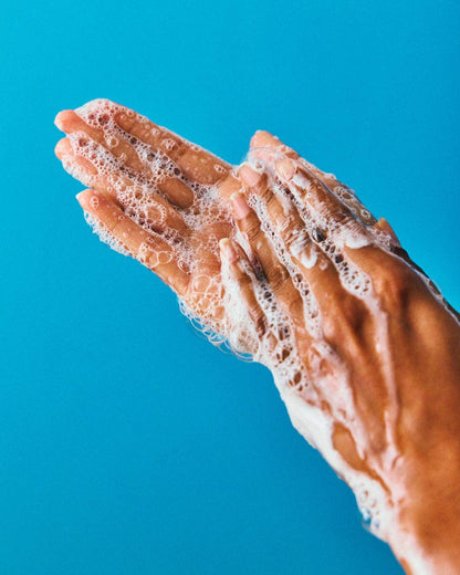 Wild Garden Hand Wash