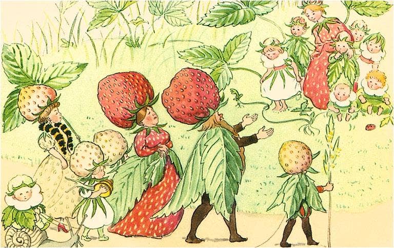 Little People of the Strawberry Patch