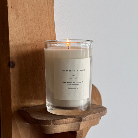 Oud, Rose + Myrrh Handcrafted Soy Candle