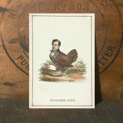 Confused Cock