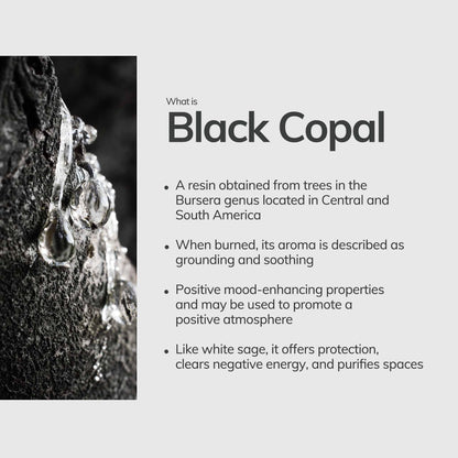 Black Copal Incense Sticks – 7 Hand-Rolled Sticks from Peru