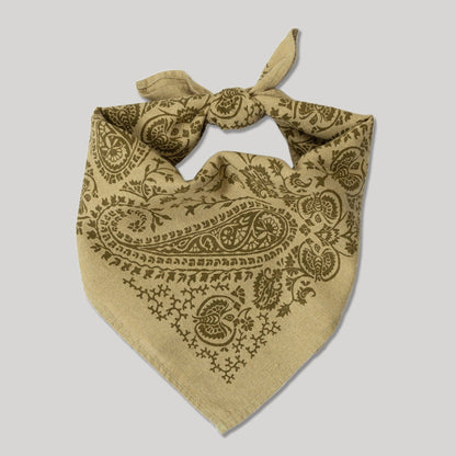 Natural Dye Silk Bandana | Chebula