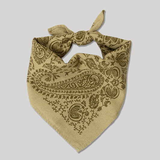 Natural Dye Silk Bandana | Chebula